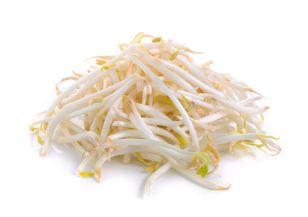 Bean Sprouts