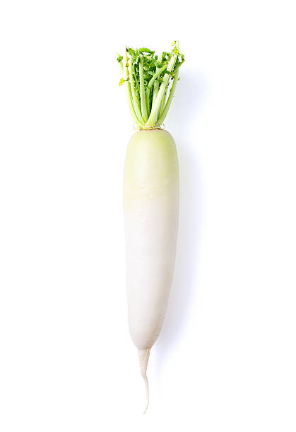 Daikon
