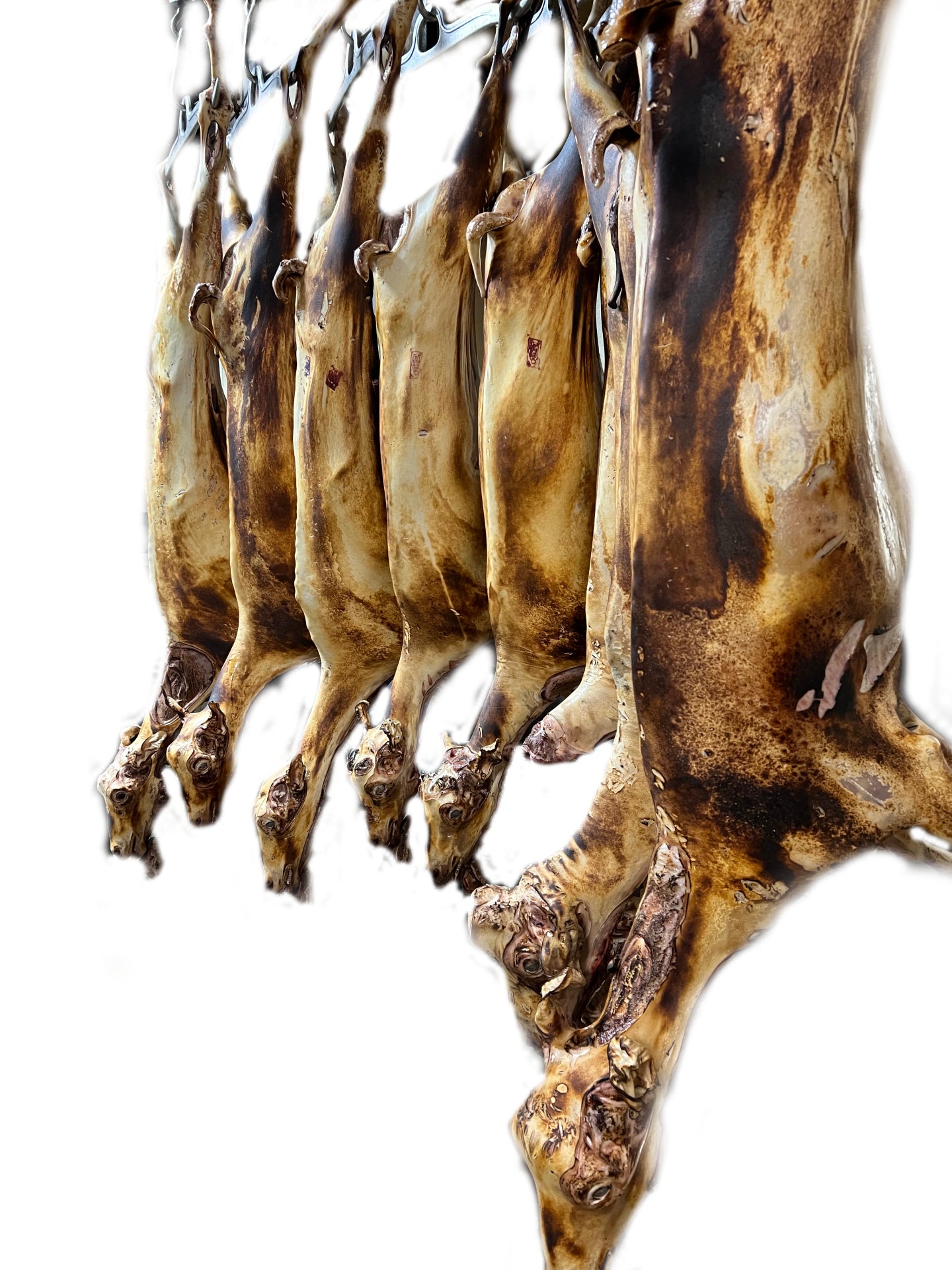 Goat W/S-Burned (With Skin Burned)