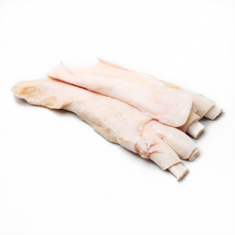 Beef Tendon (Front Flexor)