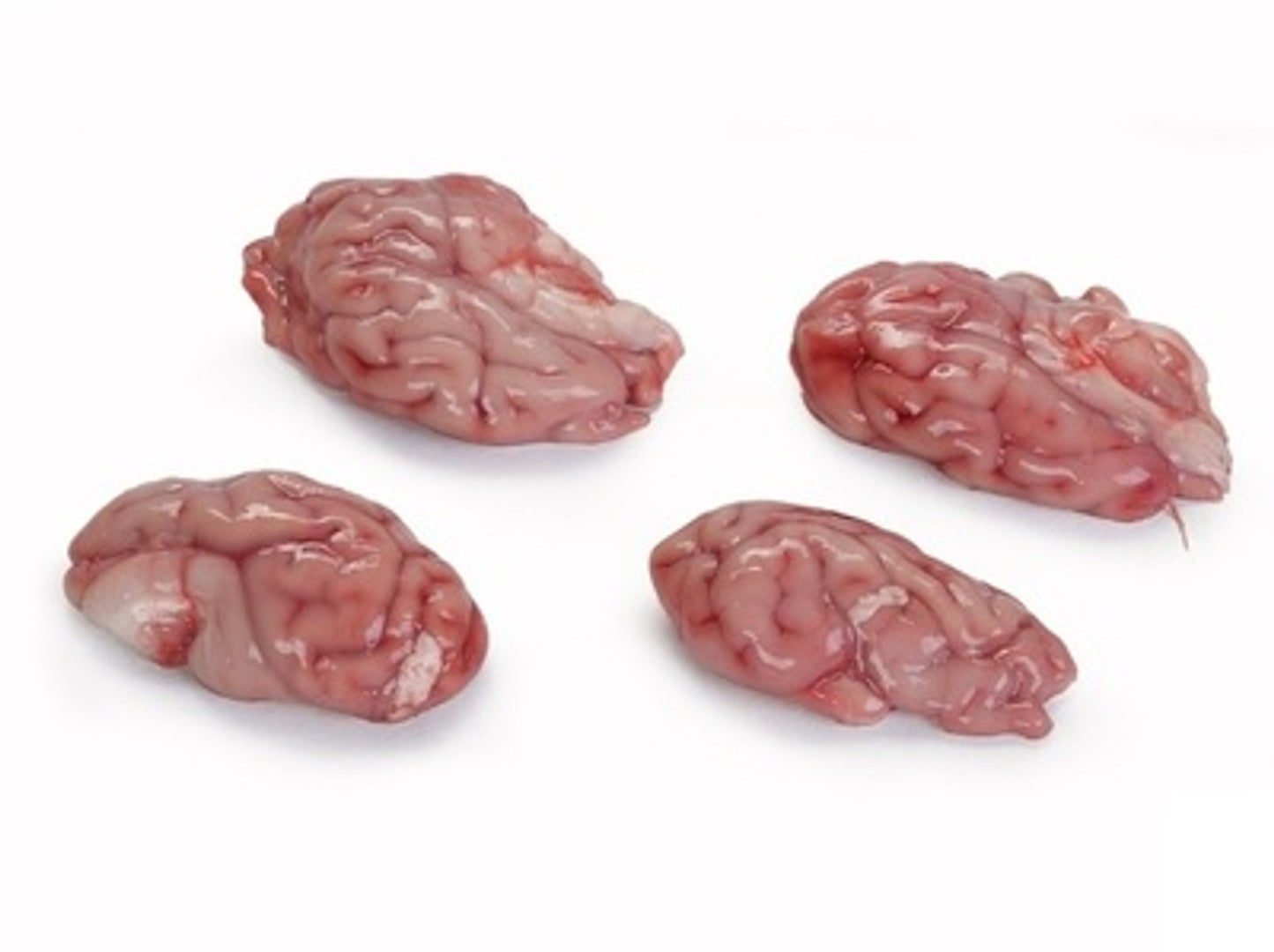 Pork Brains